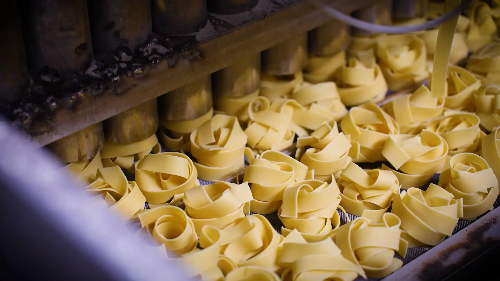 Piles of yellow ribbon pasta on a conveyor in a pasta factory during production