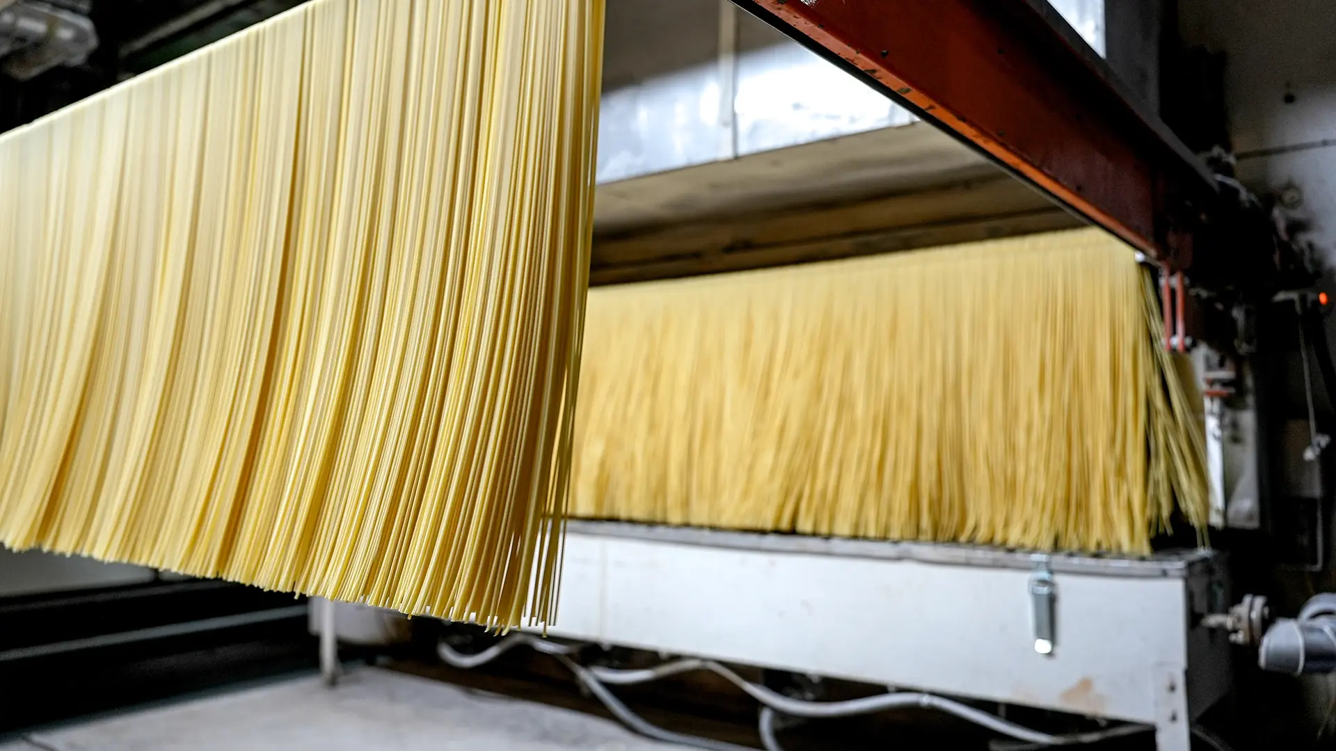 Rows of uncooked spaghetti hanging from a drying rack in a pasta factory, with yellow strands streaming downward under industrial equipment