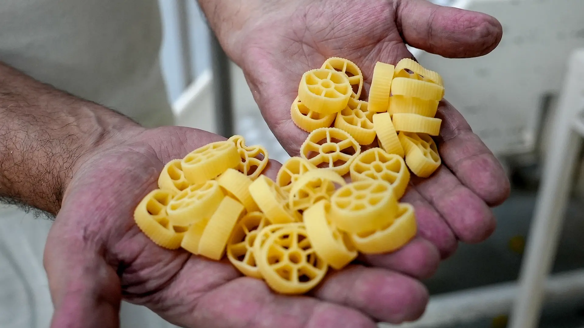 Hands cupping uncooked wheel-shaped pasta (ruote) in a pile of small yellow pasta pieces for cooking.