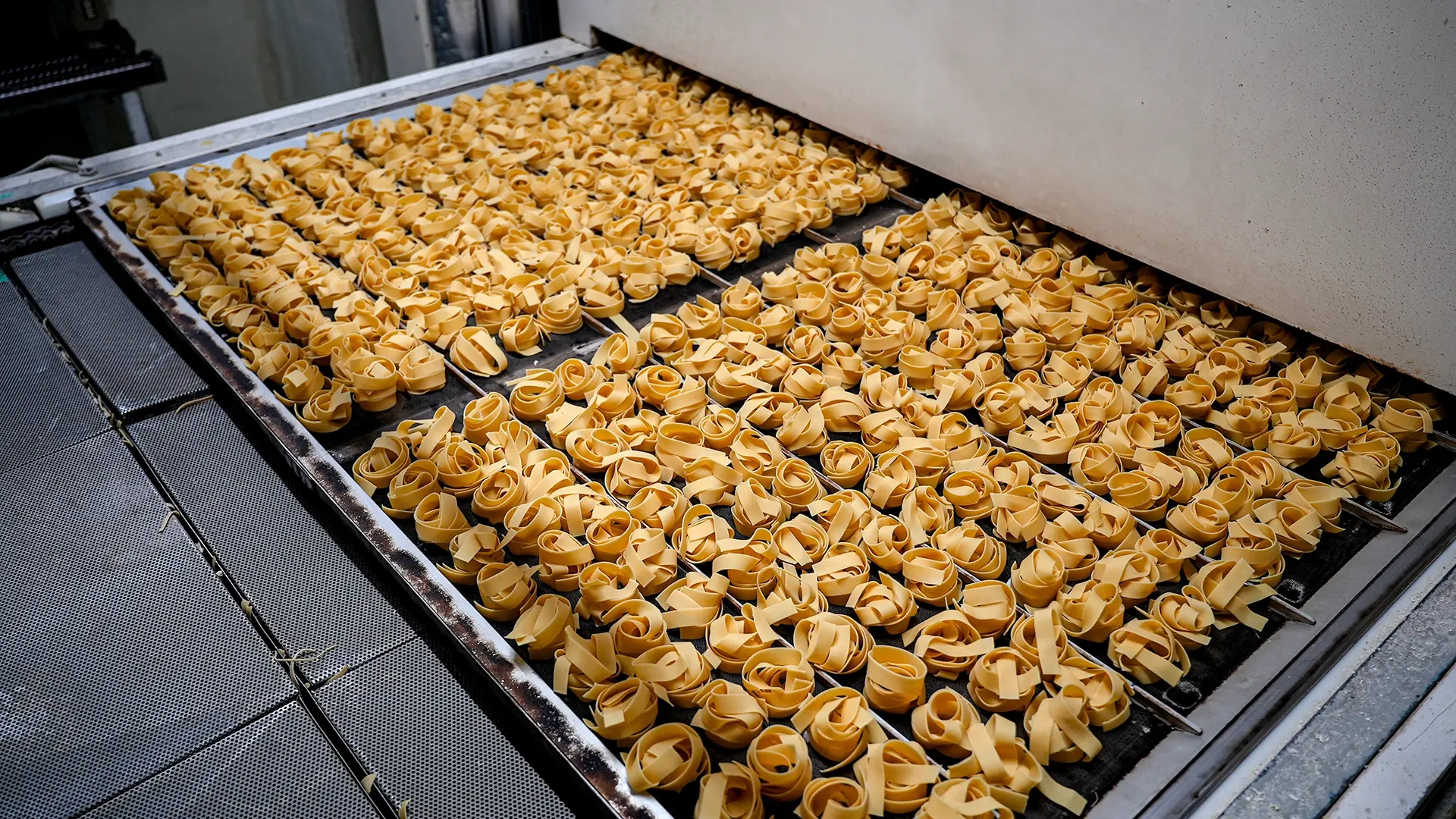 Conveyor belt filled with dozens of coiled pasta nests on a food production line in a factory setting, ready to dry/apart.