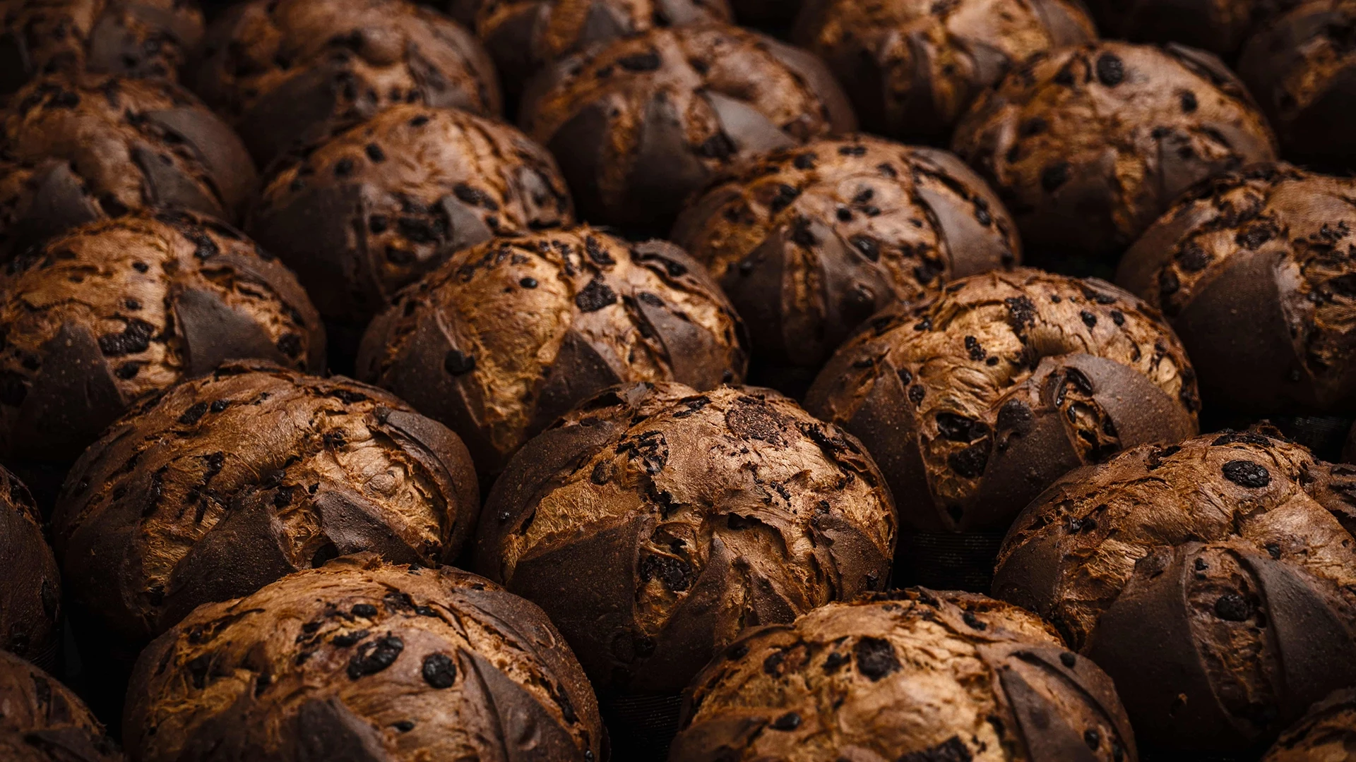 Close-up of a crowd of chocolate chip cookies piled together, with cracked, browned surfaces and visible chocolate chips.