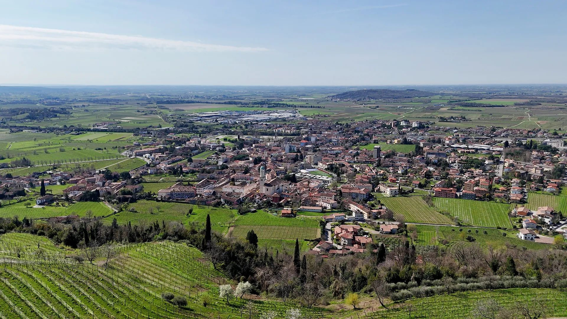 Aerial view of a town surrounded by green vineyards and fields, with a hill in the distance under a clear blue sky