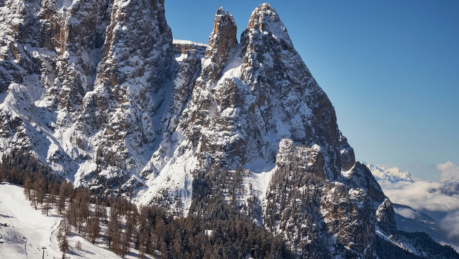 Snow-covered jagged mountain peaks under a blue sky, with a forested lower slope in the foreground.